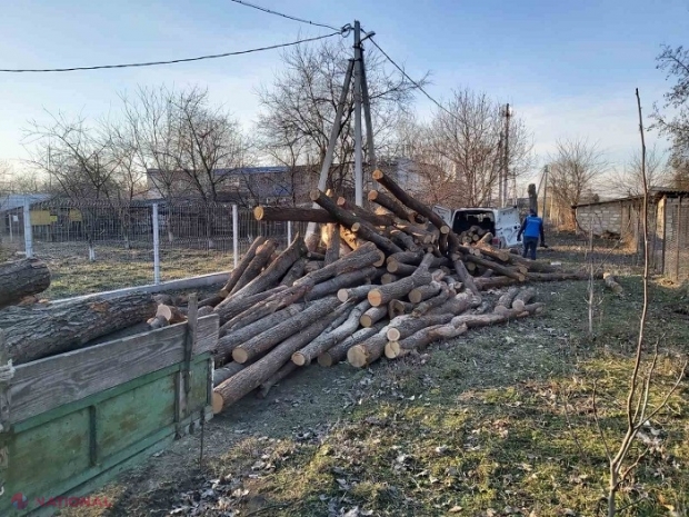 Lemn din România pentru pensionarii și veteranii din R. Moldova: Câte doi metri cubi de lemn, distribuiți gratuit la zeci de gospodării din nordul R. Moldova, în prezența ministrei Iordanov