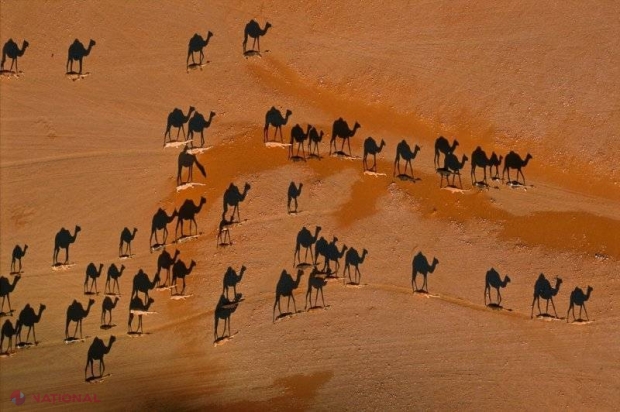 Așa ceva nu există! Vezi niște cămile? Ei, bine, NU SUNT! Imagine incredibilă luată în cel mai mare deșert nisipos al lumii!