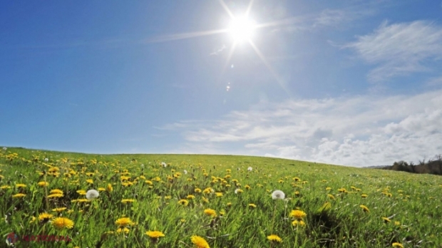 METEO // Sudul R. Moldova, sub Cod PORTOCALIU de caniculă: Ce temperaturi vor fi înregistrate în celelalte zone