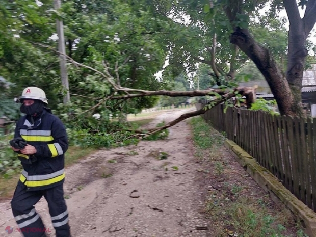 FOTO, VIDEO // Ploi puternice cu GRINDINĂ la nordul R. Moldova, culturi agricole și case afectate, dar și copaci doborâți peste garduri, șosele și mașini