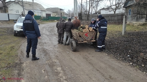 Sute de arbori tăiați ILEGAL în ultima săptămână pe teritoriul R. Moldova: Inspectorii de mediu au aplicat amenzi de zeci de mii de lei, iar lemnul a fost confiscat