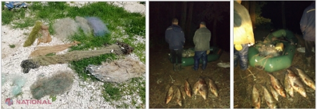 BRACONAJ // Doi bărbați din Șerpeni, OBLIGAȚI să plătească prețul peștilor capturați ILICIT din Nistru