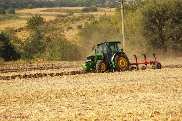 Fermierii din R. Moldova, ATENȚIONAȚI să nu cumpere produse de uz fitosanitar din stradă: „Pesticidele sunt ca medicamentele”