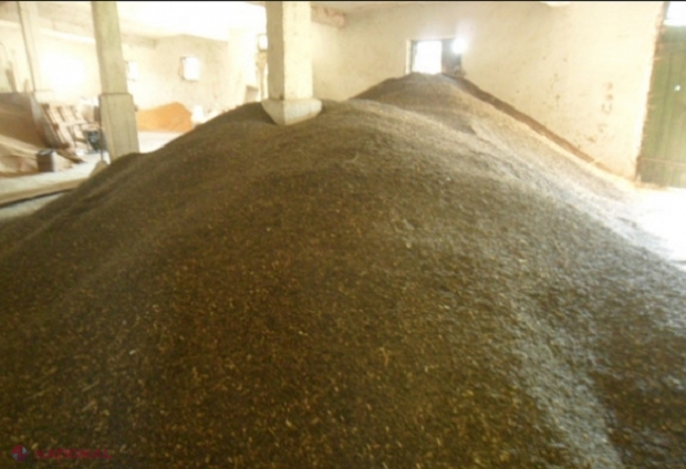 Pesticidul care a UCIS doi copii la Cantemir, investigat de autorități: „Vor fi luate măsuri de prevenire pentru utilizarea acestui preparat periculos”