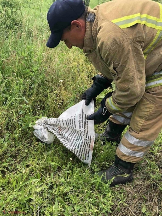 VIPERĂ la o frizerie din Căușeni: Cum a fost evacuat șarpele