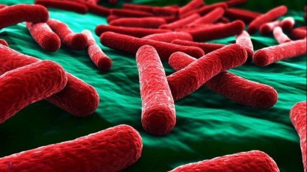 Cum te poți infecta cu bacteria E.Coli. Lista produselor de care să te ferești 