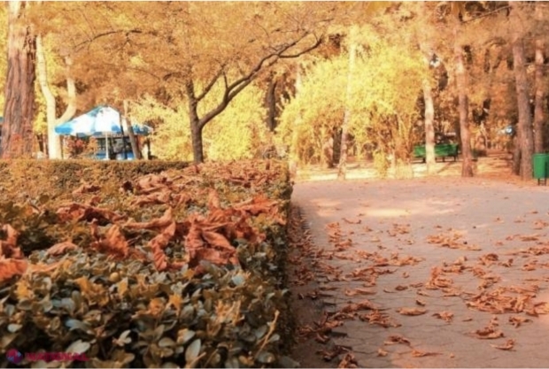 METEO // Temperaturi negative pe timpul nopții, în nordul R. Moldova: Cum va fi vremea în această săptămână