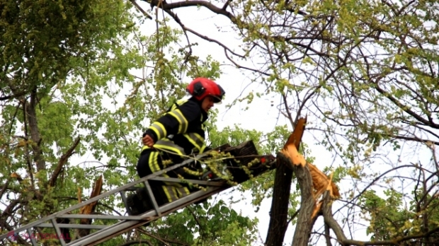 Zeci de localități din R. Moldova în BEZNĂ, copaci prăbușiți peste case și drumuri: Cât vor ține ploile 