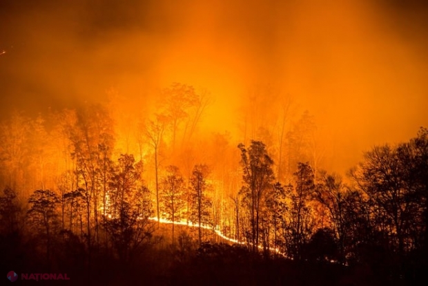 Apocalipsa siberiană: Focul a cuprins deja 4,5 milioane de hectare de pădure