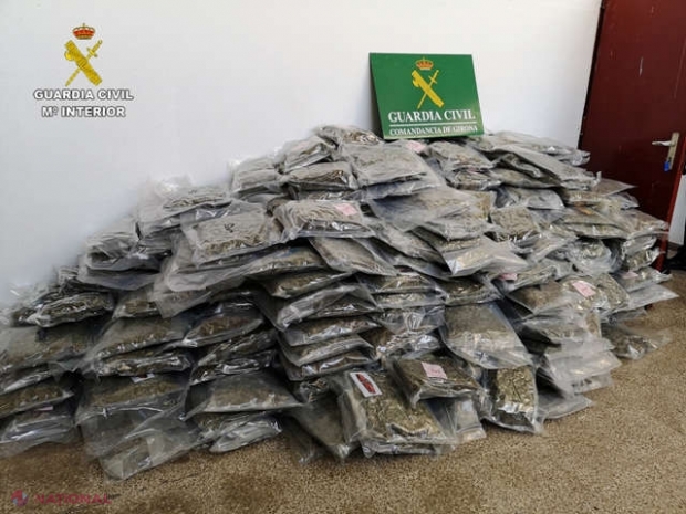 Spaniolii au confiscat TONE de marijuana de contrabandă: Printre membrii grupării, cetățeni din R. Moldova