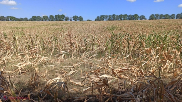 Partidul „ȘOR”: „Asociațiile de gospodării agricole mari vor putea face față provocărilor și amenințărilor”