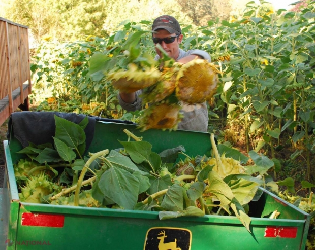 Un produs de LARG consum în R. Moldova s-ar putea IEFTINI