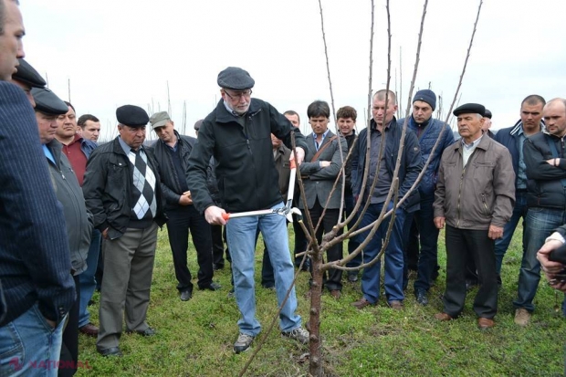 Expert american despre dezavantajul livădarilor moldoveni: „Au o convingere GREȘITĂ”