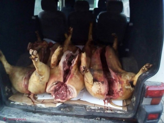 VIDEO // Ce fel de carne urma să fie vândută la piaţa din centrul capitalei: Două tone au fost CONFISCATE