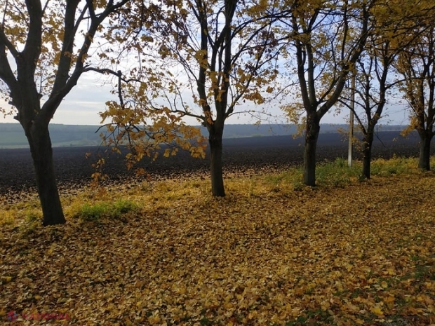METEO // Maxime de până la plus 15 grade Celsius în săptămâna curentă