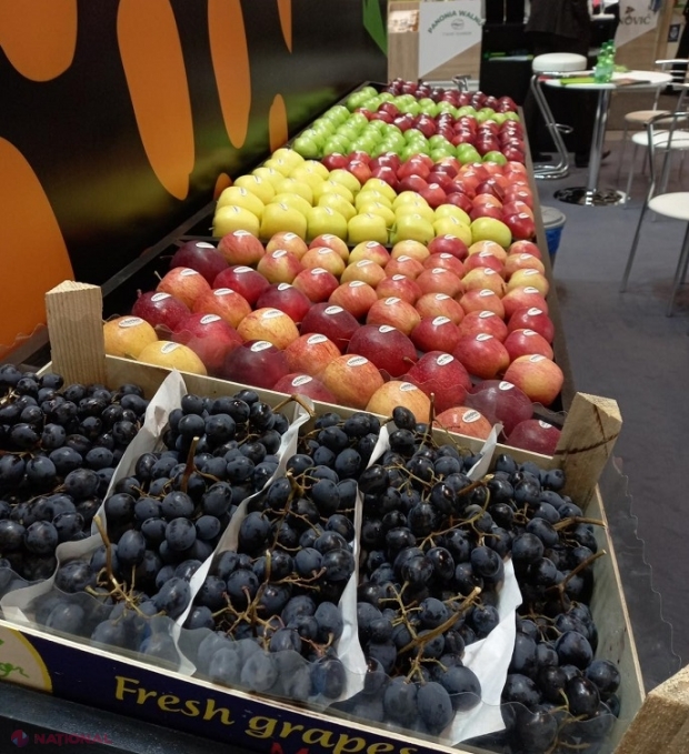 Producători de mere, struguri și prune din R. Moldova participă la o expoziție specializată de la Berlin: Parteneriate comerciale cu importatori din întreaga lume