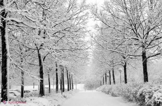 Vom avea cea mai rece iarnă din ultimii 100 de ani, dacă îi credem pe specialiști din Europa și SUA