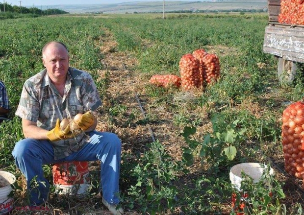 VEZI cine este deputatul care își petrece vacanța muncind în câmp