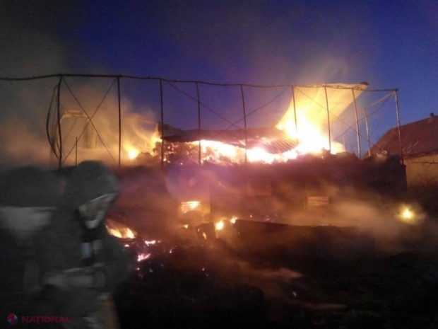 PAGUBĂ: Cinci vaci și patru porci, ARȘI de vii într-un incendiu din R. Moldova