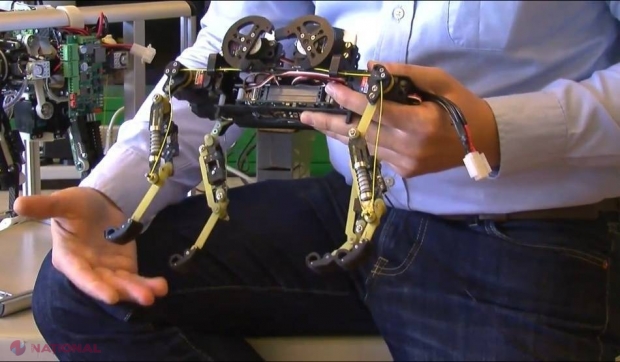 Robotul-pisică: viitoarea tehnologie utilizată în misiunile de cercetare şi salvare 