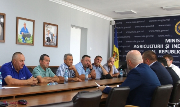 Importurile de cereale ar putea fi licențiate până la sfârșitul anului 2024, la solicitarea fermierilor