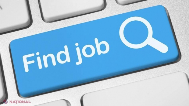 GREŞEALA FATALĂ pe care o fac 58% dintre cei care caută un job 