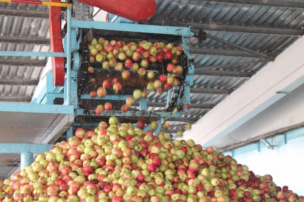 Anunțul lui Streleţ: „Datoriile la subvenţiile în agricultură au fost achitate integral”. Fermierii, în continuare nemulțumiți 