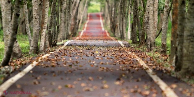 Unde se poate respira cel mai curat aer din Europa
