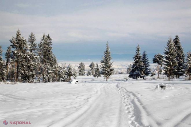 GALERIE FOTO // Cea mai ieftină pârtie de schi din România. Tarifele sunt de trei ori mai mici faţă de Valea Prahovei