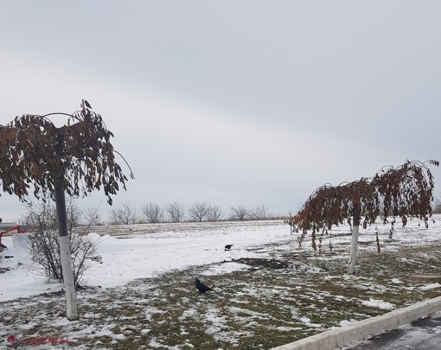 METEO // Ninsori anunțate pentru centrul și sudul R. Moldova: Cum va fi vremea în weekend