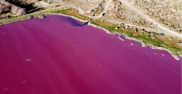 ALARMANT // O lagună din Patagonia a devenit roz deschis