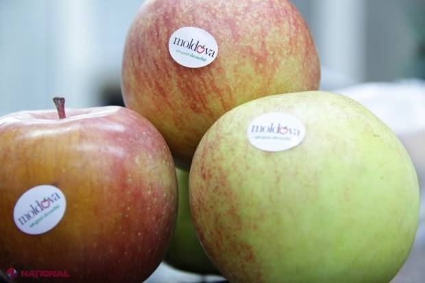 Cresc exporturile în UE! Am vândut mărfuri de SUTE DE MILIOANE de dolari în primele patru luni ale anului