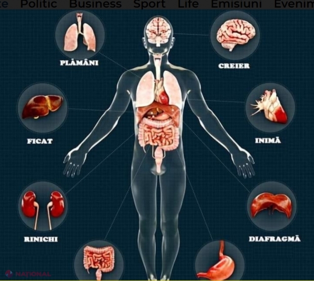 Unii oameni își atacă zilnic cel mai mare organ din corp fără să știe: Scapi de cancer dacă faci TREI zile de pauză