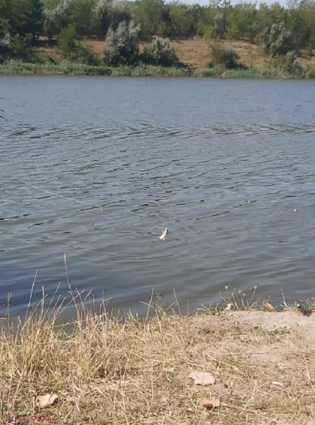 METEO // Se schimbă vremea: Cod galben de SCĂDERE BRUSCĂ a temperaturilor și chiar ÎNGHEȚURI în următoarele două zile