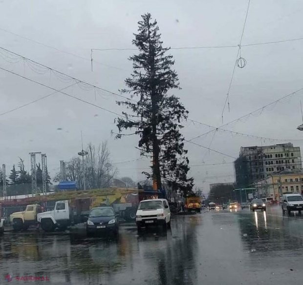 DOC // „Secretul” de la Primăria Chișinău, scos în vileag de un coleg al lui Dorin Chirtoacă: Sondajul cu privire la pomul de Crăciun, organizat de ochii lumii?