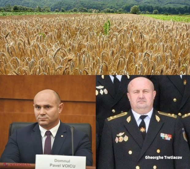 DOC // Șeful ARM este ACUZAT că pune în pericol SECURITATEA statului, după ce ar fi eliberat GRÂUL din rezerva de stat către export: „A fost ARESTAT pentru escrocherie în proporții deosebit de mari. Cerem DEMITEREA acestuia”