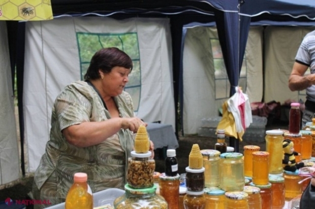 INFOGRAFIC // Exportul de MIERE din R. Moldova a ajuns la 14 milioane de dolari pe an: 75 la sută ajunge în UE, în special în România, Italia și Franța! 