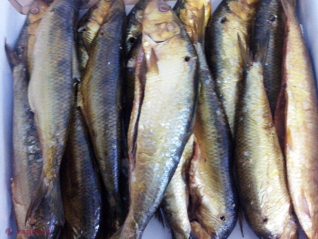 Produse alterate în magazine! Inspectorii ANSA, alungați de un agent economic