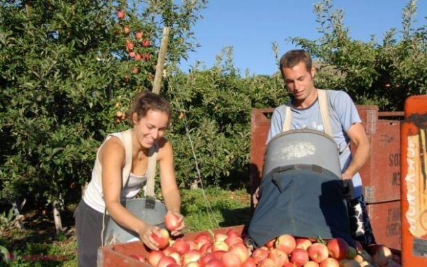 Băncile comerciale sunt gata să-i ajute pe agenții economici care nu-și pot vinde marfa în Rusia 