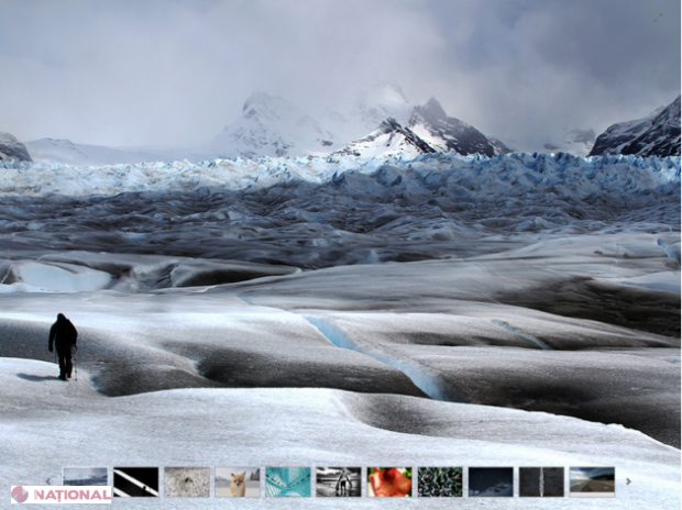Cele mai bune fotografii ale anului făcute cu iPhone