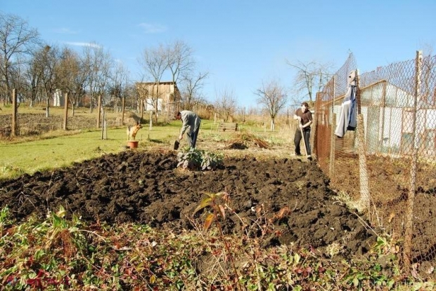 Calendarul AGRICOL al lunii noiembrie