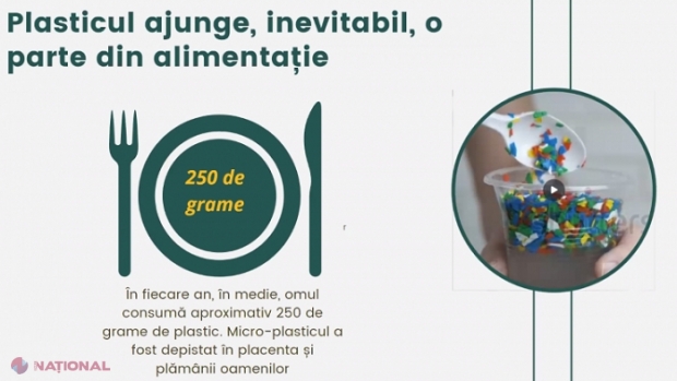 „Fără plastic mă simt fantastic”: Republica Moldova se alătură mișcării globale Plastic Free July 2021 