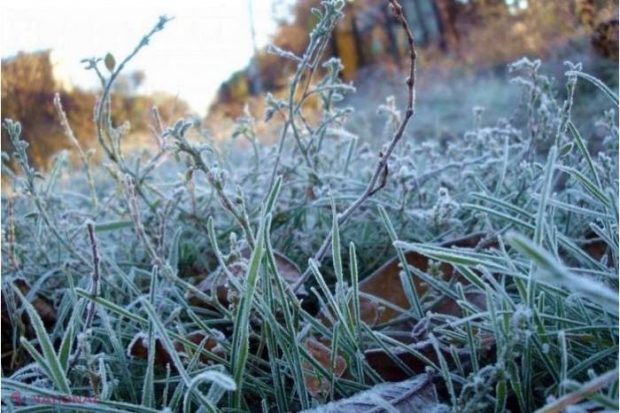METEO // ÎNGHEȚURI de până la minus 4 grade Celsius în R. Moldova