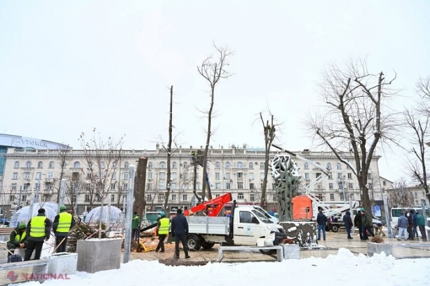 Arborii din scuarul „Mihai Eminescu” din Chișinău, TĂIAȚI: Primăria capitalei promite să sădească TEI în loc 
