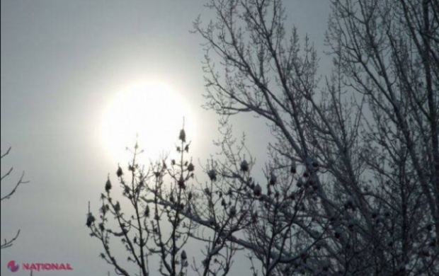 METEO // Sfârșit de februarie PRIMĂVĂRATIC: Maxime de până la plus 13 grade Celsius săptămâna viitoare 