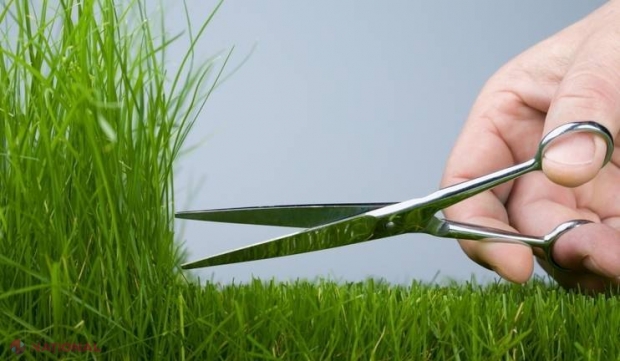 Perfecţionismul - latura întunecată a unei presupuse calităţi