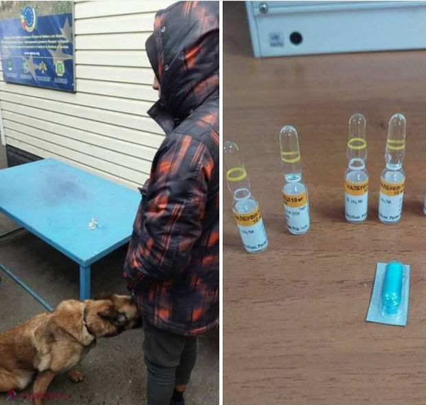 Un moldovean a încercat să intre în R. Moldova cu droguri pe care le ținea în scurta cu care era îmbrăcat: Câinele Amy l-a dat de gol