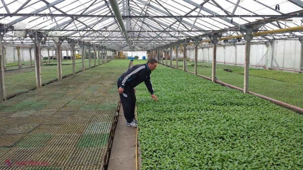 FOTO Legume ecologice de la familia ministrului Agriculturii! „Contribuim la masa de Paște”