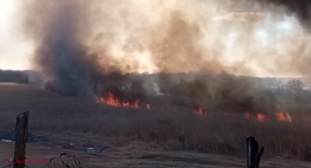 VIDEO // Incendiu de proporții la frontieră: Zeci de hectare de pădure afectate