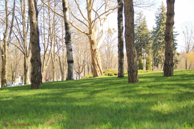 Vor fi sau nu EXPROPRIAȚI cetățenii care au procurat terenuri de la autoritățile locale, dar despre care AAP afirmă că aparțin statului? Răspunsul lui Copaci